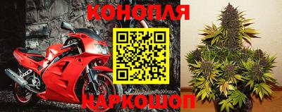 эйфоретик Ачхой-Мартан