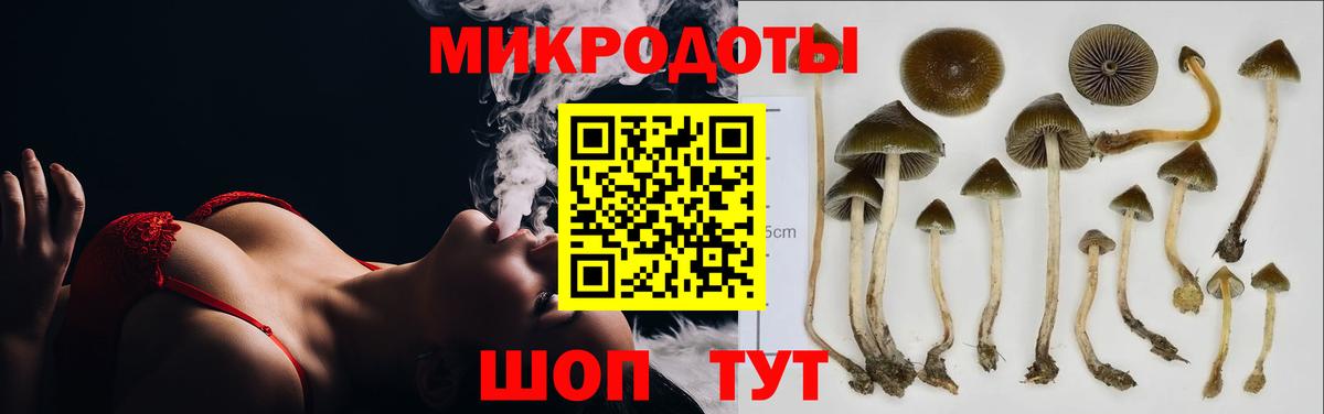 Псилоцибиновые грибы MAGIC MUSHROOMS  Вход с VPN  Аргун 